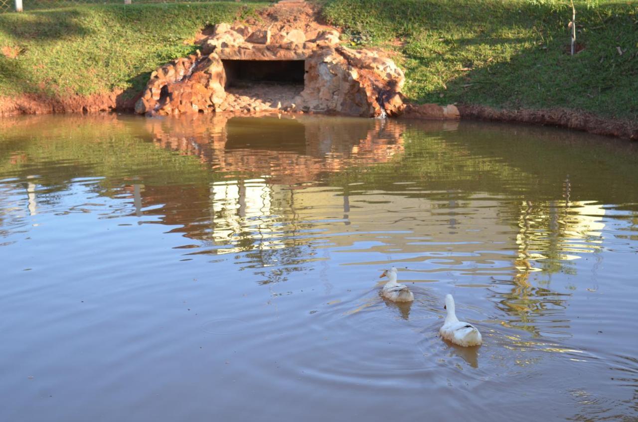 Pousada Coqueiro Verde Minas Gerais Mateus Leme Buitenkant foto